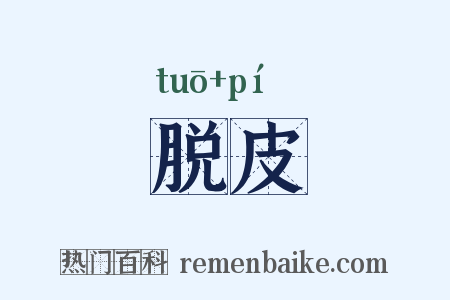脱皮是什么意思的图片
